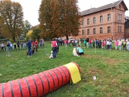 IMG-20221012-101737