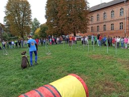 IMG-20221012-102716